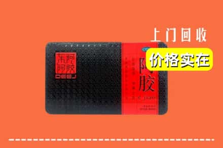上海奉贤区回收阿胶