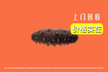 上海奉贤区回收海参