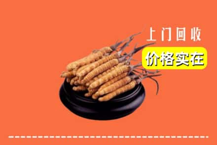 上海奉贤区回收冬虫夏草