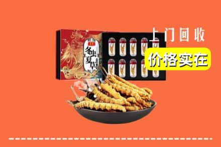 上海奉贤区回收虫草