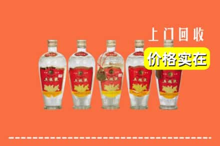 上海奉贤区回收老五粮液